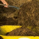 human-composting-sites-may-be-coming-to-a-city-near-you