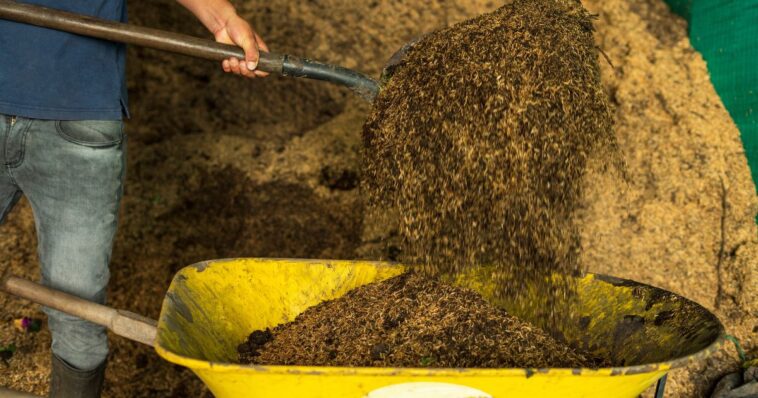 human-composting-sites-may-be-coming-to-a-city-near-you