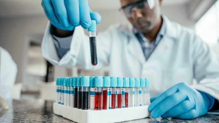 the-‘age’-of-your-blood-could-predict-dementia-risk,-new-study-suggests