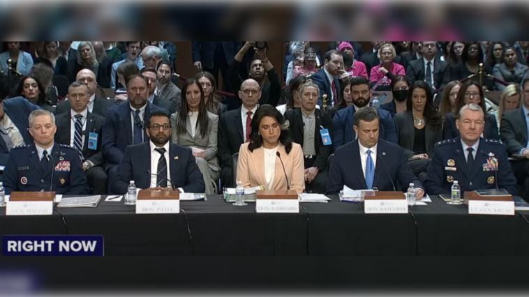 cia-accused-of-illegally-spying-on-tulsi-gabbard-and-interfering-with-dni-investigations-in-bombshell-report-and-whistleblower-testimony-(video)