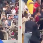 conn.-community-college-graduation-spirals-out-of-control-after-two-families-erupt-in-vicious-brawl