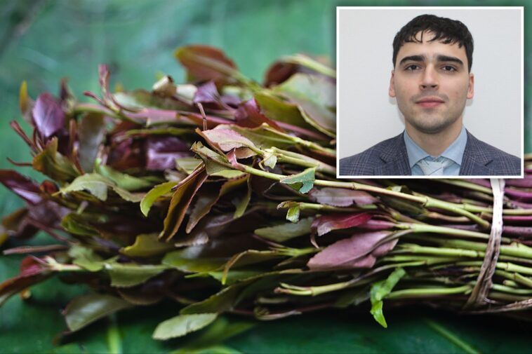 watchdog-group-accuses-nyc-cop-of-illegal-cavity-search-of-khat-user:-police-union