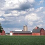 what-one-illinois-town-says-about-the-current-state-of-america