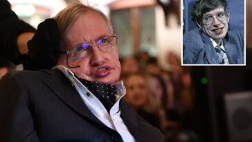 science-legend-stephen-hawking’s-dad-worried-he-was-a-slug-who-lounged-around-too-much