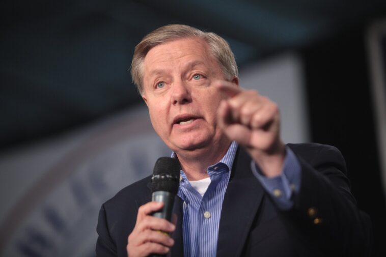 warmonger-lindsey-graham-attacks-trump-as-he-seeks-to-end-war-in-iran