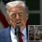 iran-agrees-to-give-up-‘nuclear-dust’-stockpile-in-deal-with-trump:-report