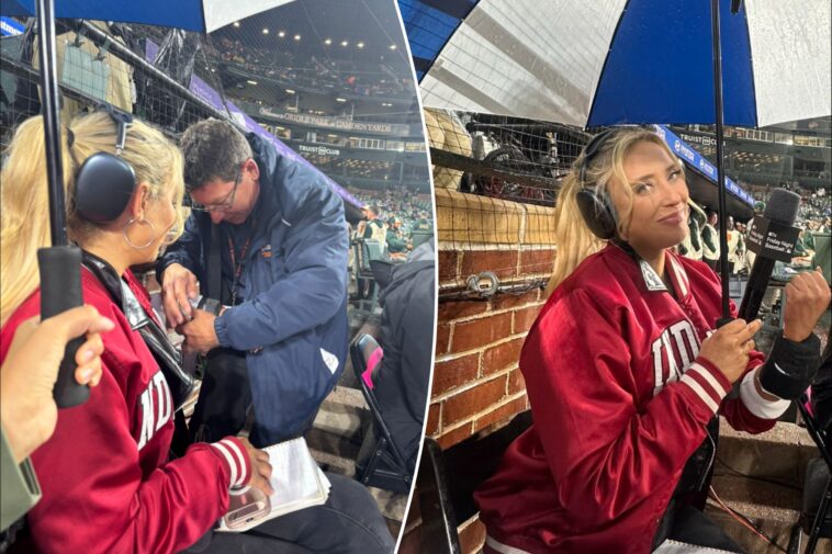 apple-tv-reporter-tricia-whitaker-hurt-in-orioles’-foul-ball-nightmare
