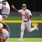 cardinals’-bryan-torres-homers-in-first-game-after-improbable-11-year-journey
