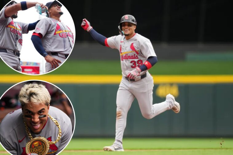 cardinals’-bryan-torres-homers-in-first-game-after-improbable-11-year-journey