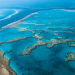 man-dies-after-shark-attack-on-australia’s-great-barrier-reef