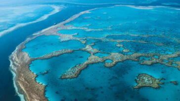 man-dies-after-shark-attack-on-australia’s-great-barrier-reef