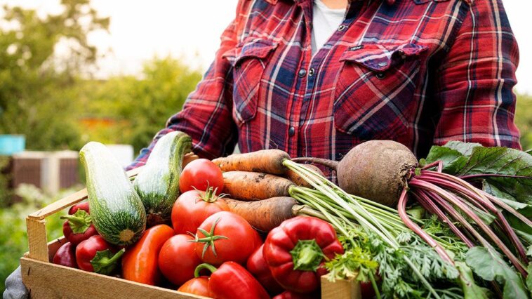 followers-of-bible-based-diet-say-scripture-guided-eating-transformed-their-health