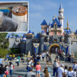 disneyland-bosses-break-silence-as-chemical-plant-explosion-threat-sparks-panic