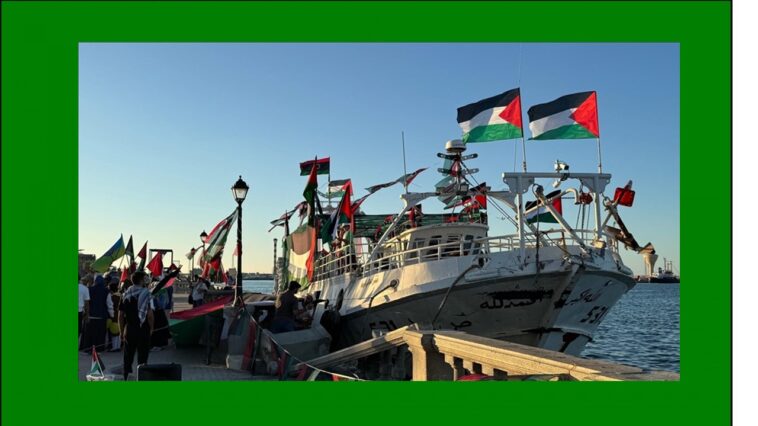 organizations-behind-gaza-flotilla-terrorist-and-jihadist-links,-part-1