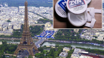france-bans-zyns-and-other-nicotine-pouches-—-with-violators-facing-5-years-in-prison-and-a-shocking-fine