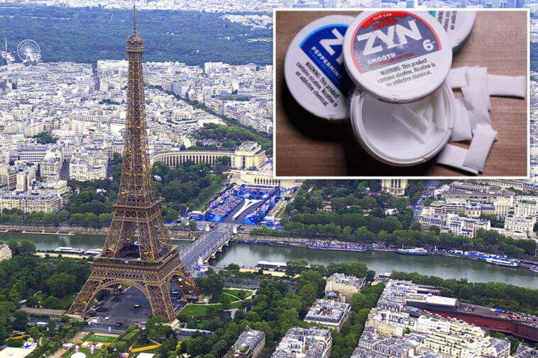 france-bans-zyns-and-other-nicotine-pouches-—-with-violators-facing-5-years-in-prison-and-a-shocking-fine