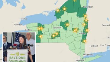 resistance-grows-against-new-york’s-18-planned-solar-farms-locals-say-ruin-land,-kill-animals-and-won’t-create-much-energy