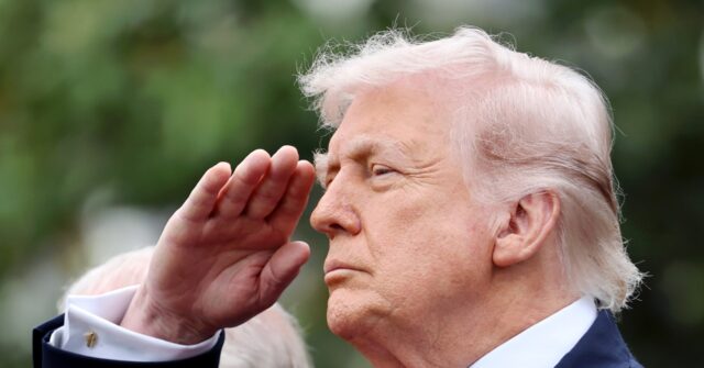 president-trump-remembers-those-who-made-the-‘ultimate-sacrifice’;-issues-scathing-rebuke-to-‘dumocrats’-in-memorial-day-message