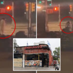 maniac-in-muslim-garb-trashes-nyc-kosher-bagel-shop-in-wild-caught-on-video-tantrum