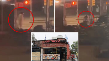 maniac-in-muslim-garb-trashes-nyc-kosher-bagel-shop-in-wild-caught-on-video-tantrum