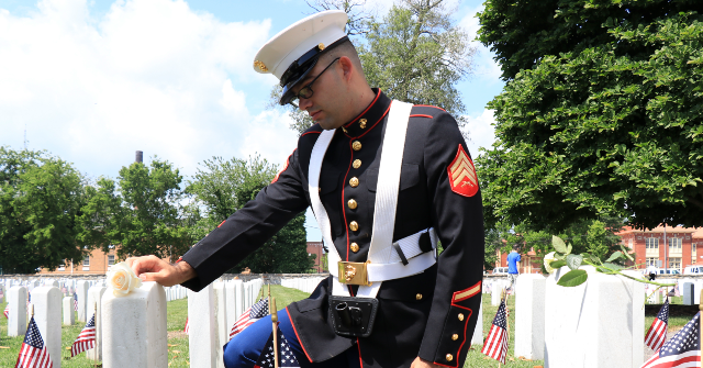 memorial-day-tributes-pour-in:-‘they-fought-the-good-fight’