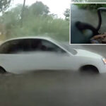 cop-plucks-baby-from-car-overtaken-by-texas-floodwaters-in-dramatic-bodycam-clip:-‘i’m-going-in’