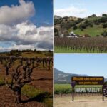 napa-valley-nightmare-as-experts-warn-wineries-could-run-dry:-‘unsustainable’