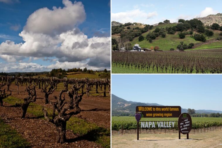 napa-valley-nightmare-as-experts-warn-wineries-could-run-dry:-‘unsustainable’