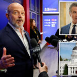 save-californians-thousands-—-then-fire-up-sacramento-‘wood-chipper’:-steve-hilton’s-wild-first-day