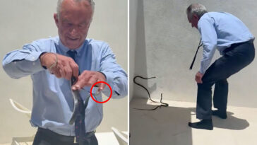 rfk-jr-snatches-two-black-racer-snakes-off-dr.-oz’s-patio-in-bonkers-video