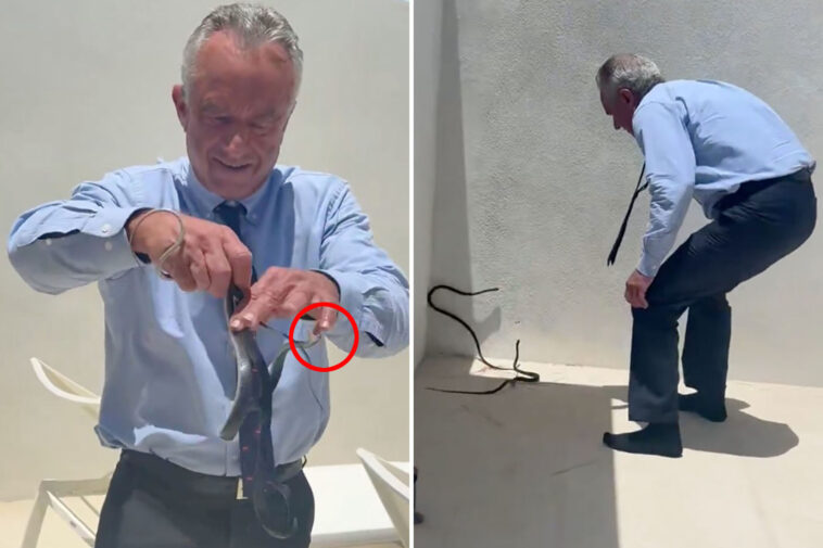 rfk-jr-snatches-two-black-racer-snakes-off-dr.-oz’s-patio-in-bonkers-video