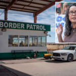dad-of-mamdani-backed-‘abolish-ice’-dem-rakes-in-cash-for-firm-securing-texas-border