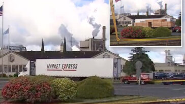 west-coast-chemical-plant-explosion-results-in-multiple-injuries