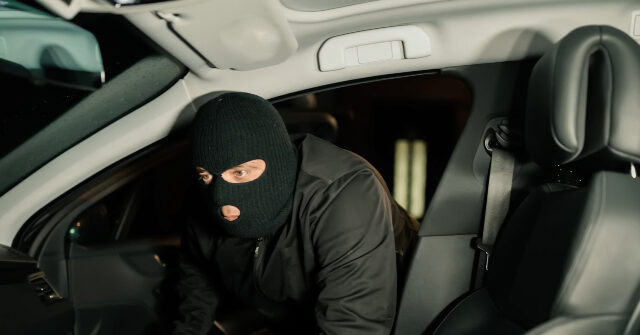 alleged-burglar-surrenders-after-woman-puts-him-in-leg-lock