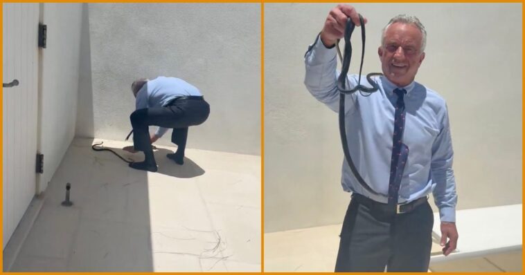 watch:-fearless-rfk-jr-goes-viral-after-catching-wild-snakes-barehanded-on-dr.-oz’s-patio