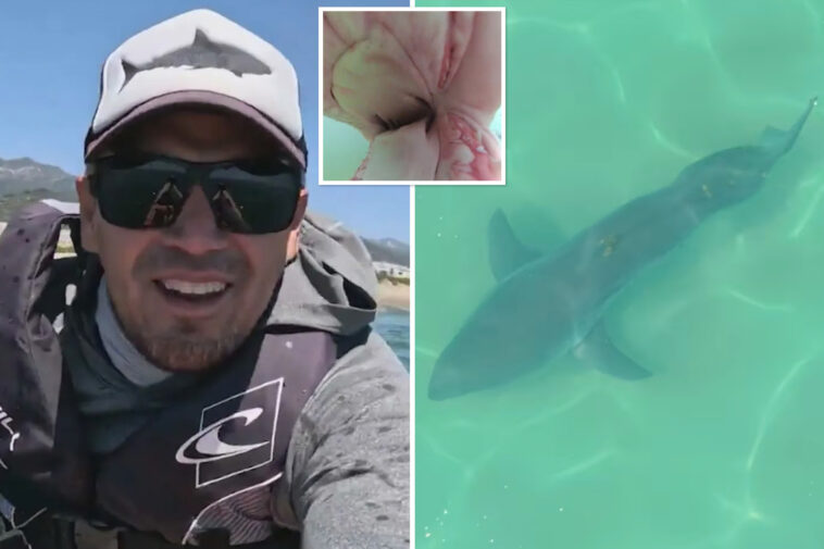 terrifying-moment-great-white-shark-attacks-diver’s-camera-off-socal