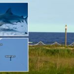shark-takes-a-bite-out-of-texas-teen-fishing-with-dad-on-memorial-day