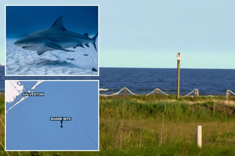 shark-takes-a-bite-out-of-texas-teen-fishing-with-dad-on-memorial-day