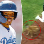 dodgers-stud-prospect-injured-after-freak-encounter-with-team-bat-dog