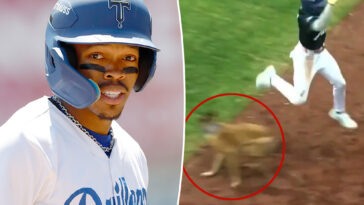 dodgers-stud-prospect-injured-after-freak-encounter-with-team-bat-dog