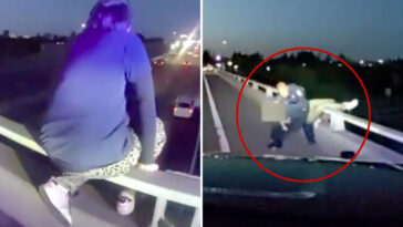 heart-stopping-moment-cops-rescue-sobbing-kid-dangling-dangerously-from-freeway-overpass