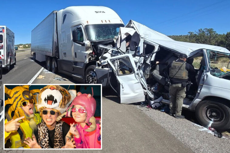 popular-punk-band-peelander-z rushed-to-hospital-after-horror-crash,-cancels-california-show