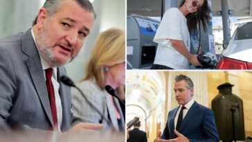 ted-cruz-calls-out-gavin-newsom-after-paying-$3.99-a-gallon-in-texas-‘the-problem-isn’t-chevron,-it’s-california’s-stupid-energy-policies’