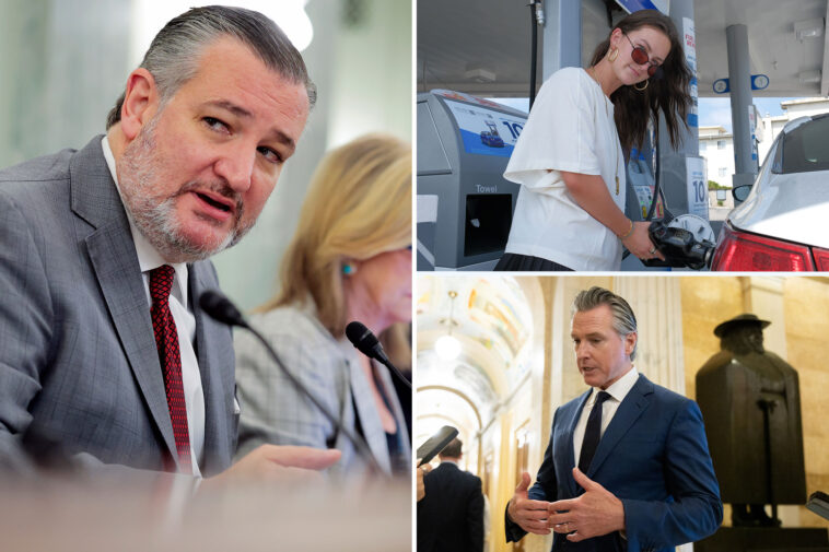 ted-cruz-calls-out-gavin-newsom-after-paying-$3.99-a-gallon-in-texas-‘the-problem-isn’t-chevron,-it’s-california’s-stupid-energy-policies’