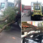 terrifying-moment-row-of-cars-totaled-on-la-street-—-and-the-shocking-police-response
