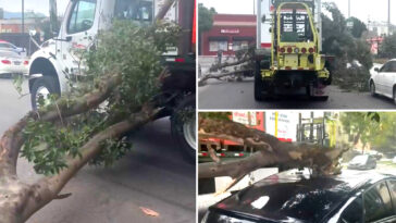 terrifying-moment-row-of-cars-totaled-on-la-street-—-and-the-shocking-police-response