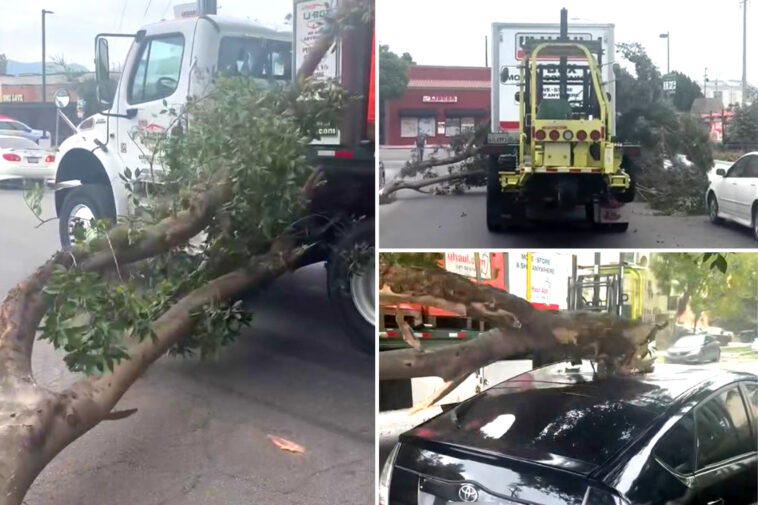 terrifying-moment-row-of-cars-totaled-on-la-street-—-and-the-shocking-police-response