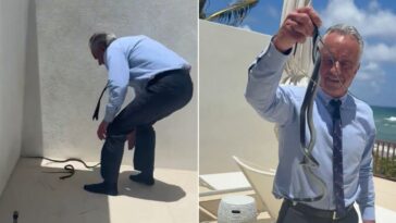 watch:-rfk-jr-catches-two-snakes-on-dr.-oz’s-patio-using-only-his-bare-hands