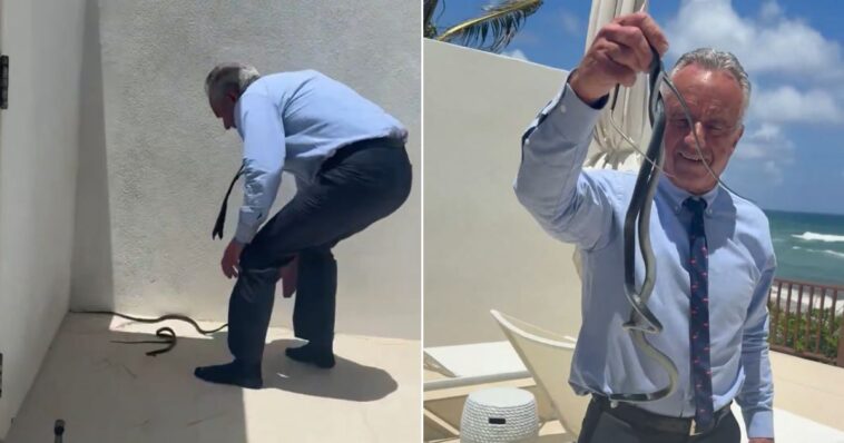 watch:-rfk-jr-catches-two-snakes-on-dr.-oz’s-patio-using-only-his-bare-hands