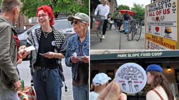 park-slope-food-coop-passes-controversial-israel-boycott-in-divisive,-chaotic-meet-attended-by-over-7k-members